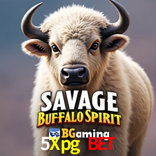 5Xpg Bet,5Xpg.Com